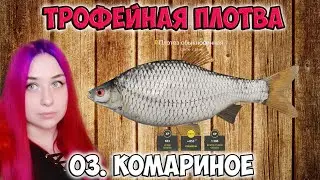 Трофейная плотва на оз. Комариное  Russian Fishing 4 Русская рыбалка 4  RF4 РР4