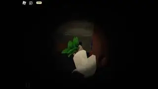 silly run i did (bug at the end)