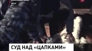 Суд над Цапками (09.11.2012)