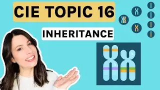 Inheritance & Meiosis | Topic 16 ENTIRE topic for CIE A-level