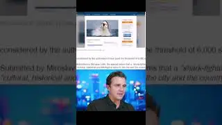 Памятник акуле убившей русского
