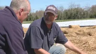 From the Ground Up - Lazy Potato Bed
