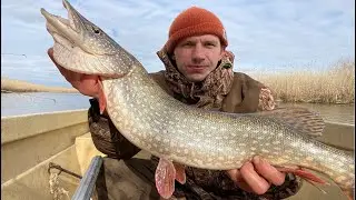 Ловля ЩУКИ на джиг в феврале в АСТРАХАНИ с лодки. Результат рыбалки за 2 часа лова.