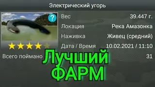 | My Fishing World | ФАРМ для подписчиков | Электрический угорь |