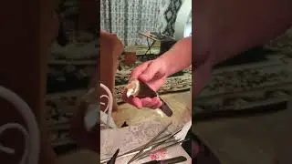 Открыл долгожданную посылку для природы, рыбалки.