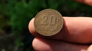 Нашёл РАМОЧНИК под старым дубом