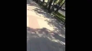 Велопрогулка