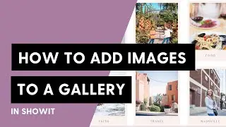 How to add images to a gallery in Showit