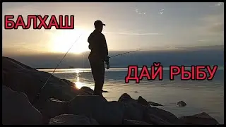 Рыбалка. Балхаш - Разрез.