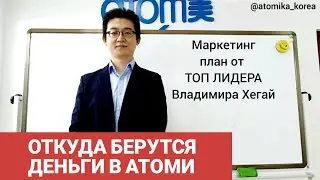 МАРКЕТИНГ ПЛАН АТОМИ Владимир Хегай