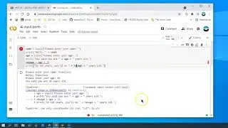 The Python input function