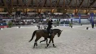 Equipe de France freestyle