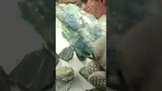 10 грудня 2023 р.