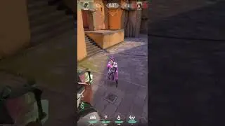 RIOT, YOU MUST FIX PHOENIX IMMEDIATELY