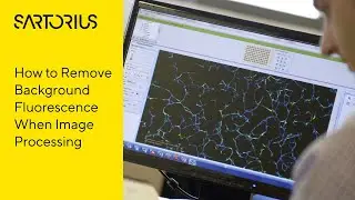 Incucyte® Tutorial Series: Learn How to Remove Background Fluorescence When Image Processing
