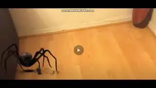 Скример Паука