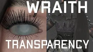 Wraith Model Transparency Tutorial for Blender
