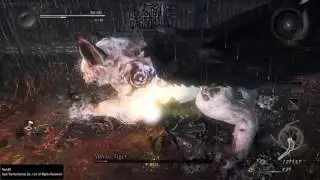 Nioh. Level 1. No damage. Jorogumo & White Tiger