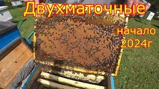 ДВУХМАТОЧНЫЕ! История начинается, сезон 2024 года!