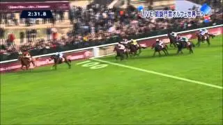 【高画質】2012 凱旋門賞 オルフェーヴル 首差２着