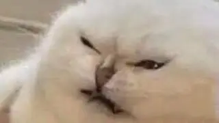 Не чiпайте мене