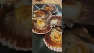 Zamburiñas, crémeux chorizo & piquillos  🐚🔥🐷 Gueuleton Bayonne #gueuleton #bayonne #bonsvivants