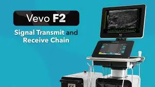 Vevo F2: Signal Transmit and Receive Chain