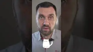 Что такое слабая родовая деятельность у кошек?  #интересное #apicenna #животные #кошки