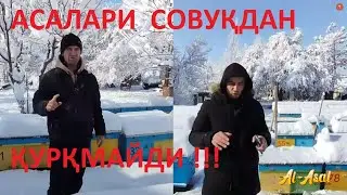АСАЛАРИНИ ҚИШДА ИСИТМАНГ !!!