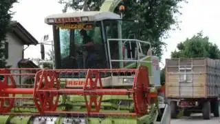 lav. agr. BERGAMIN e PELLIZZER: insilato frumento 2011