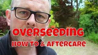 How to Overseed a Scarified Lawn