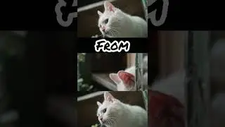 God Save Me From My Enemies