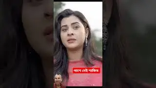 বুবলীর পাশে নেই শাকিবখান #viral #love #bubly #bublyshakib