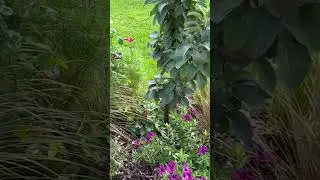 Падала, но вновь поднималась! 11 августа 2024