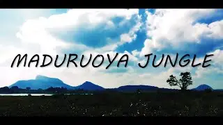 Maduru Oya - Most Beautiful Road in  (Si Lanka
