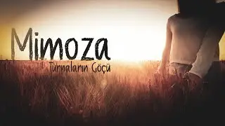 Mimoza - Turnaların Göçü
