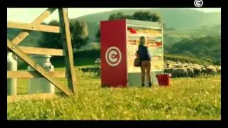 Feira Queijos e Vinhos