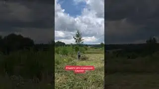 #дикийлось