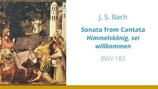 J.S. Bach - Sonata from Cantata BWV 182 