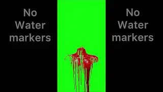 Head/Neck Blood 🩸