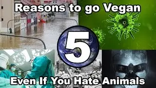 Don't care about animals? 5 reasons you should still go vegan