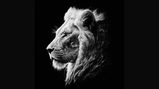 Beat Rap Boom Bap - 