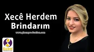 Xecê Herdem Birîndarım (Akustik)