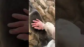 У Сергеевны важный день...