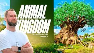 Journée inoubliable à Disney's ANIMAL KINGDOM ! 🌳🦁