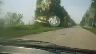 Домашняя коллекция