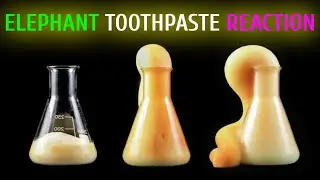 Elephant Tooth Paste Experiment [Must Watch Chemical reaction]