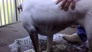 Chica Schoonmaak part1