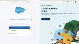Salesforce Training D17: Workflow(Outbound Messages) and Process Builder