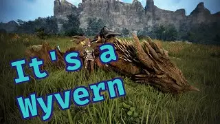 Duskwing vs Arduanatt | Speed Comparison | Black Desert
